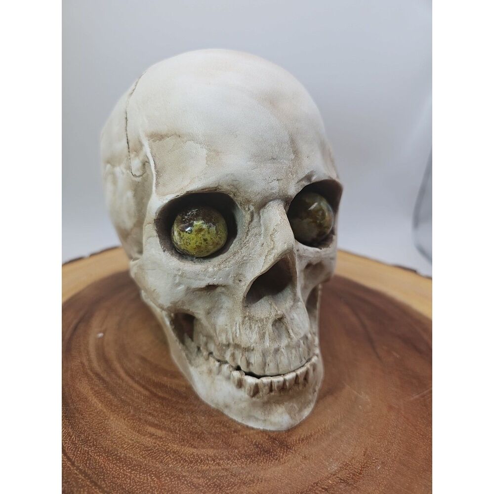 Resin Skull W/Ocean Jasper Quartz Eyes - CrystalCloud Company - Resin Skull W/Oc
